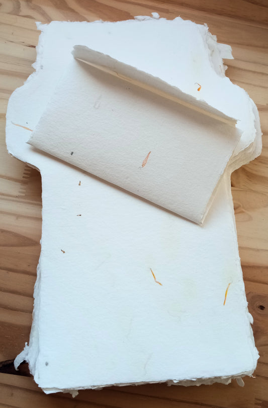 Carte-lettre Calendula