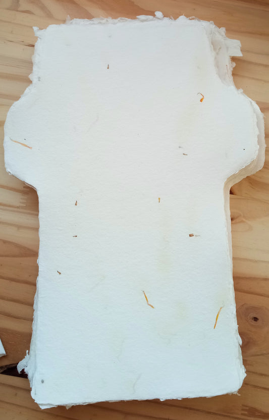 Carte-lettre Calendula