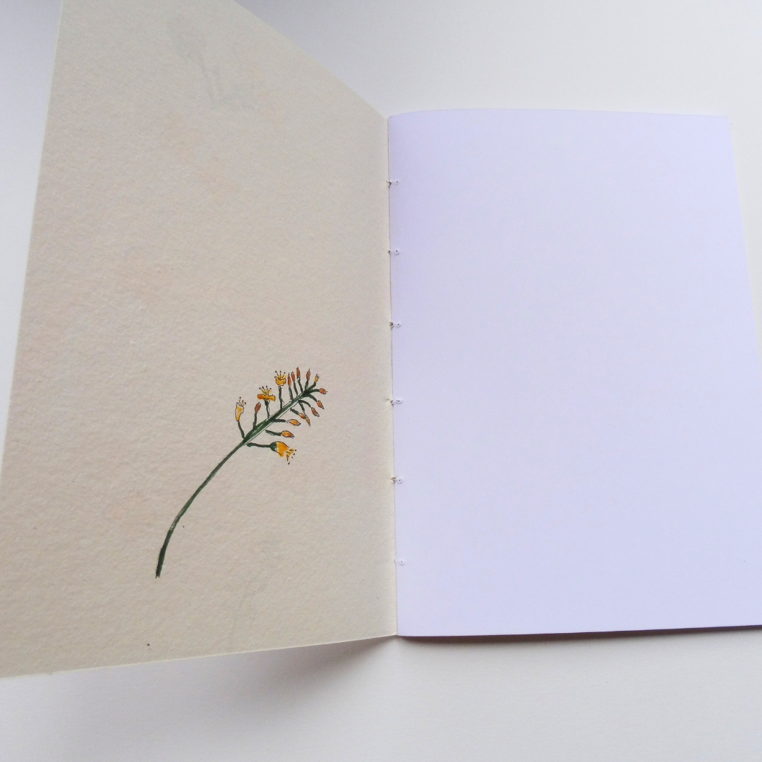 Couverture intérieure