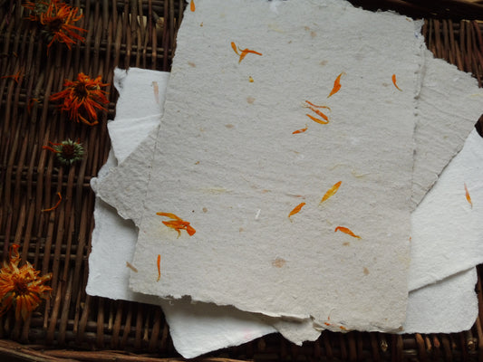 Papier Vergé Fait Main avec pétales de Souci A3 A4 A5 Artisanal Français