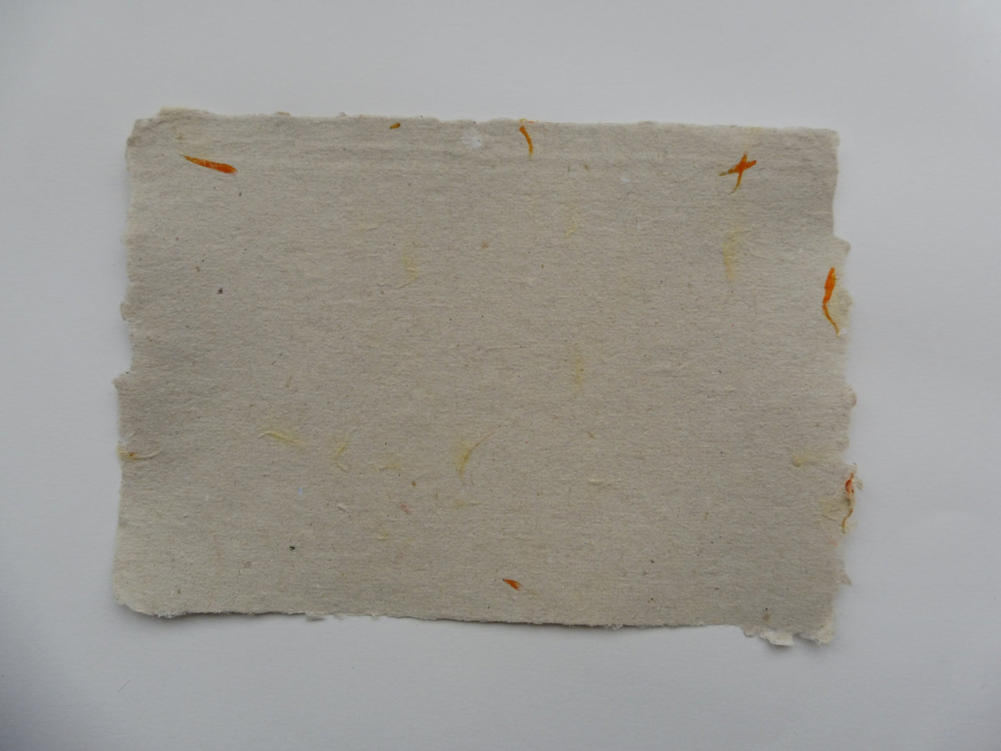 Papier Vergé Fait Main avec pétales de Souci A3 A4 A5 Artisanal Français