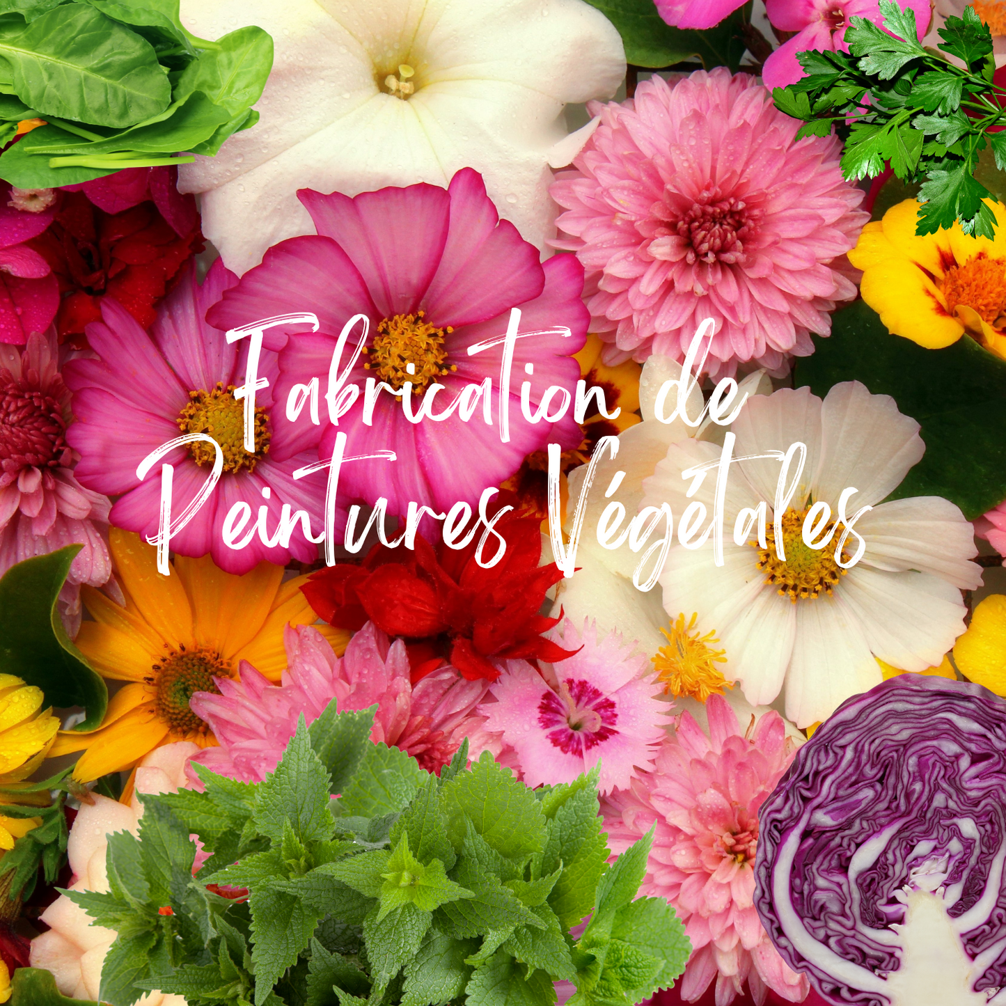 Atelier Fabrication Peintures Végétales - Août 2026