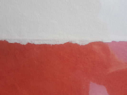 Livre d'Or / Album Photo / Carnet de voyages