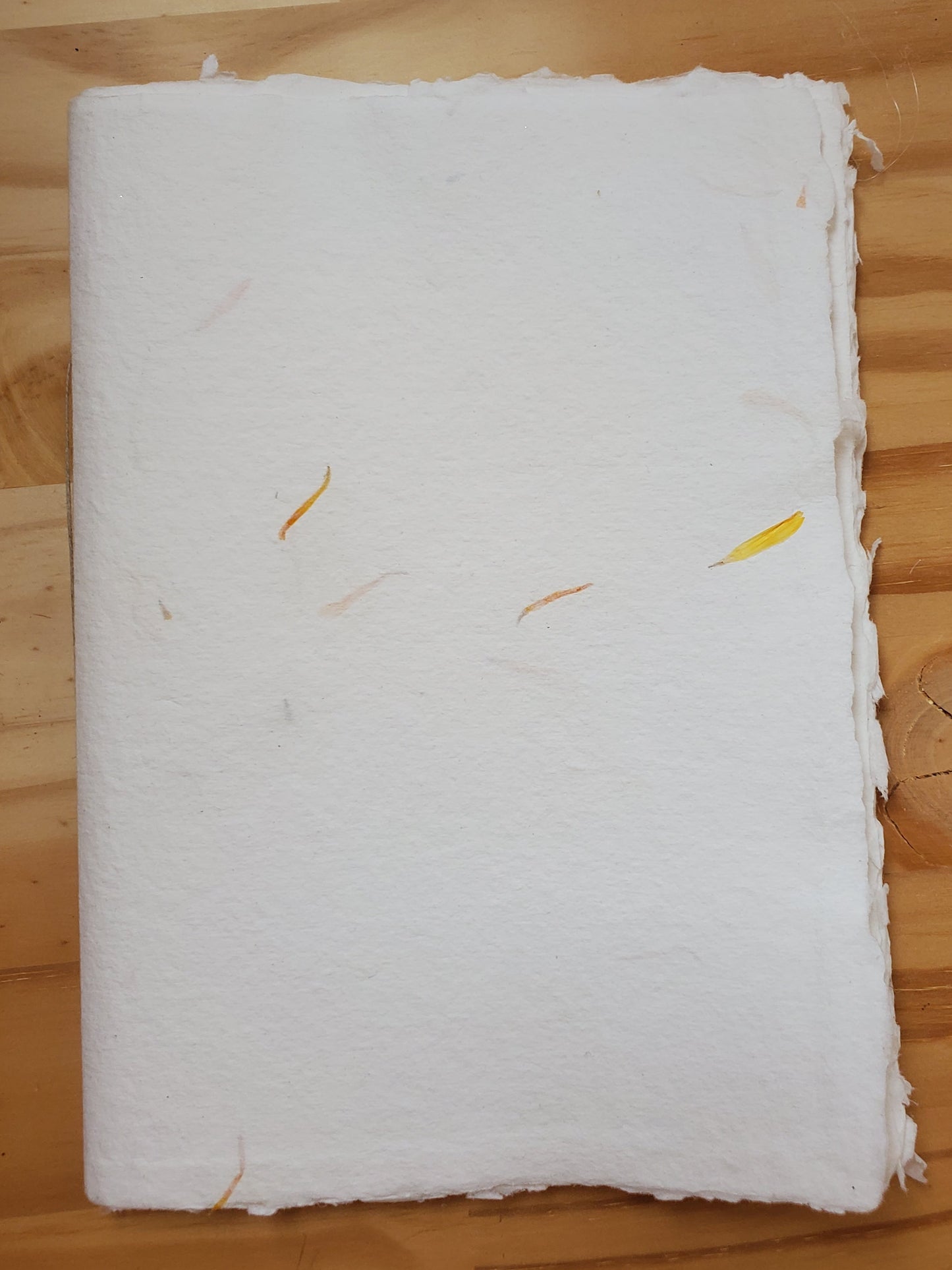 Carnet A5 papier fait main Calendula