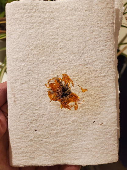 Carnet A6 Calendula