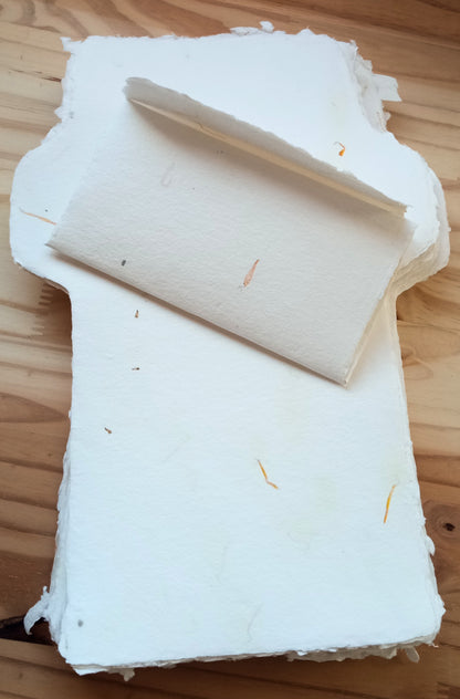 Carte-lettre Calendula