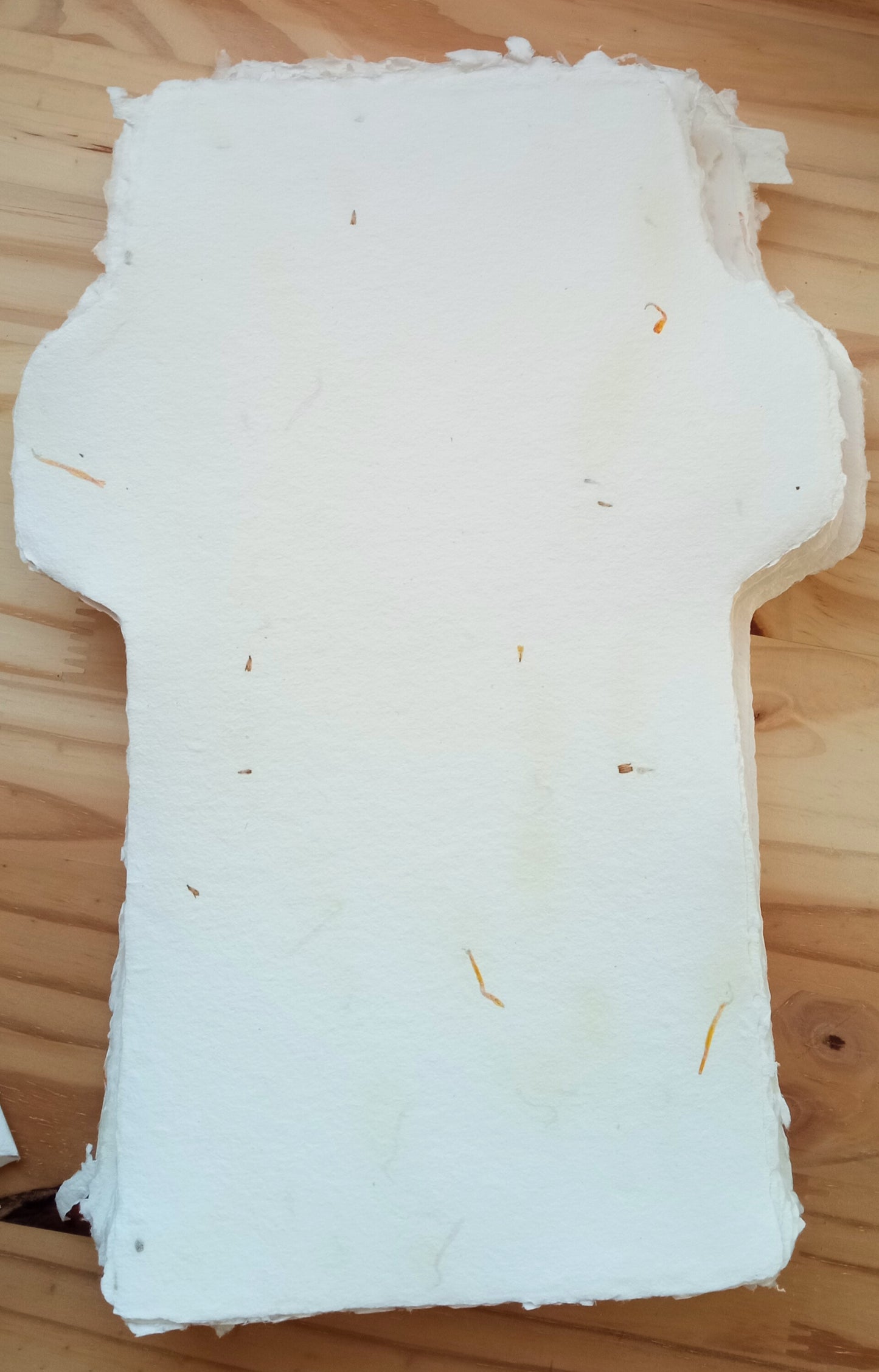 Carte-lettre Calendula