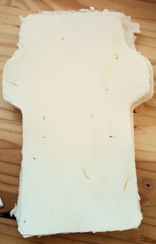 Carte-lettre Calendula