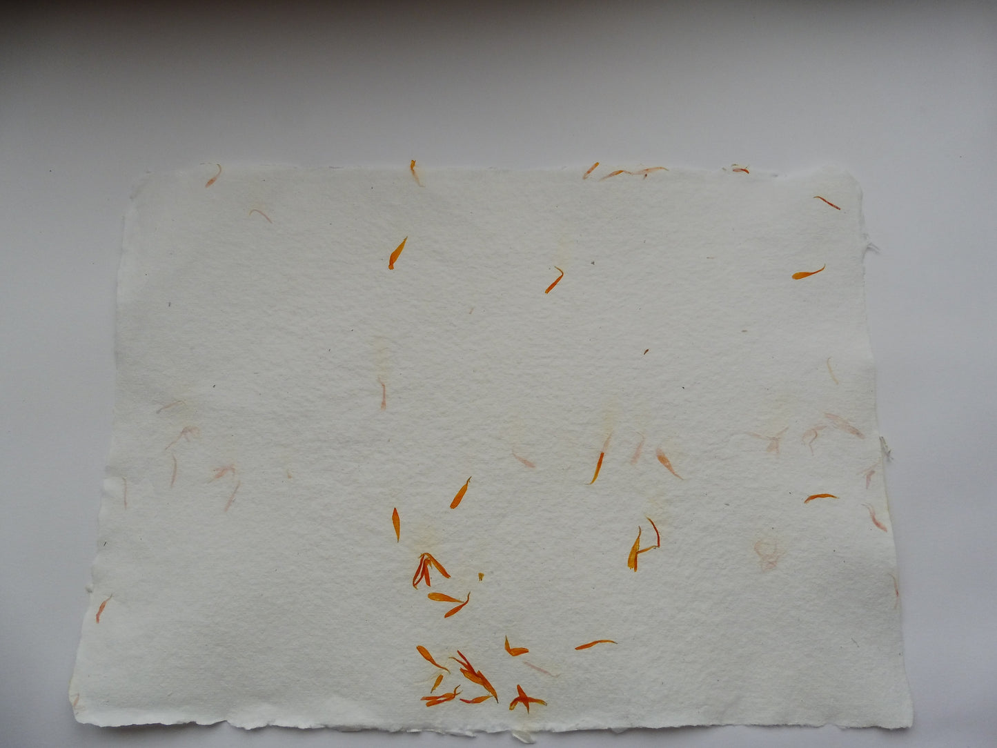 Papier Vergé Fait Main avec pétales de Souci A3 A4 A5 Artisanal Français