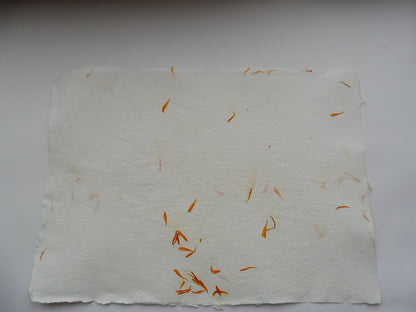 Papier Vergé Fait Main avec pétales de Souci A3 A4 A5 Artisanal Français