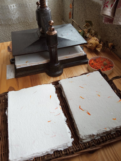 Papier Vergé Fait Main avec pétales de Souci A3 A4 A5 Artisanal Français