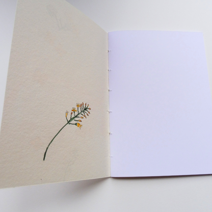 Couverture intérieure
