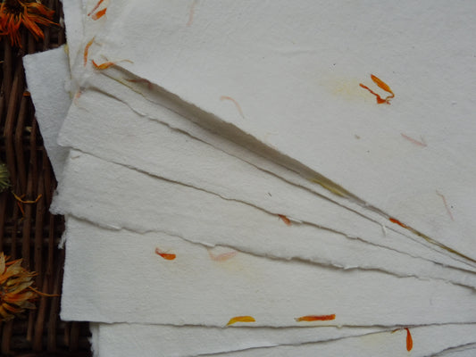 Papier Vergé Fait Main avec pétales de Souci A3 A4 A5 Artisanal Français