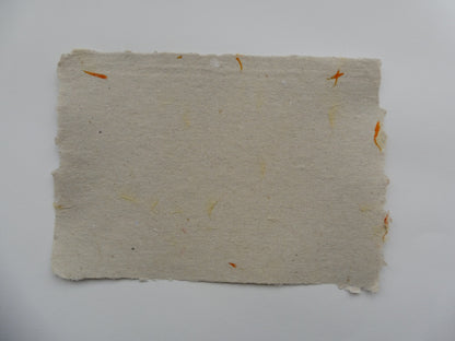 Papier Vergé Fait Main avec pétales de Souci A3 A4 A5 Artisanal Français