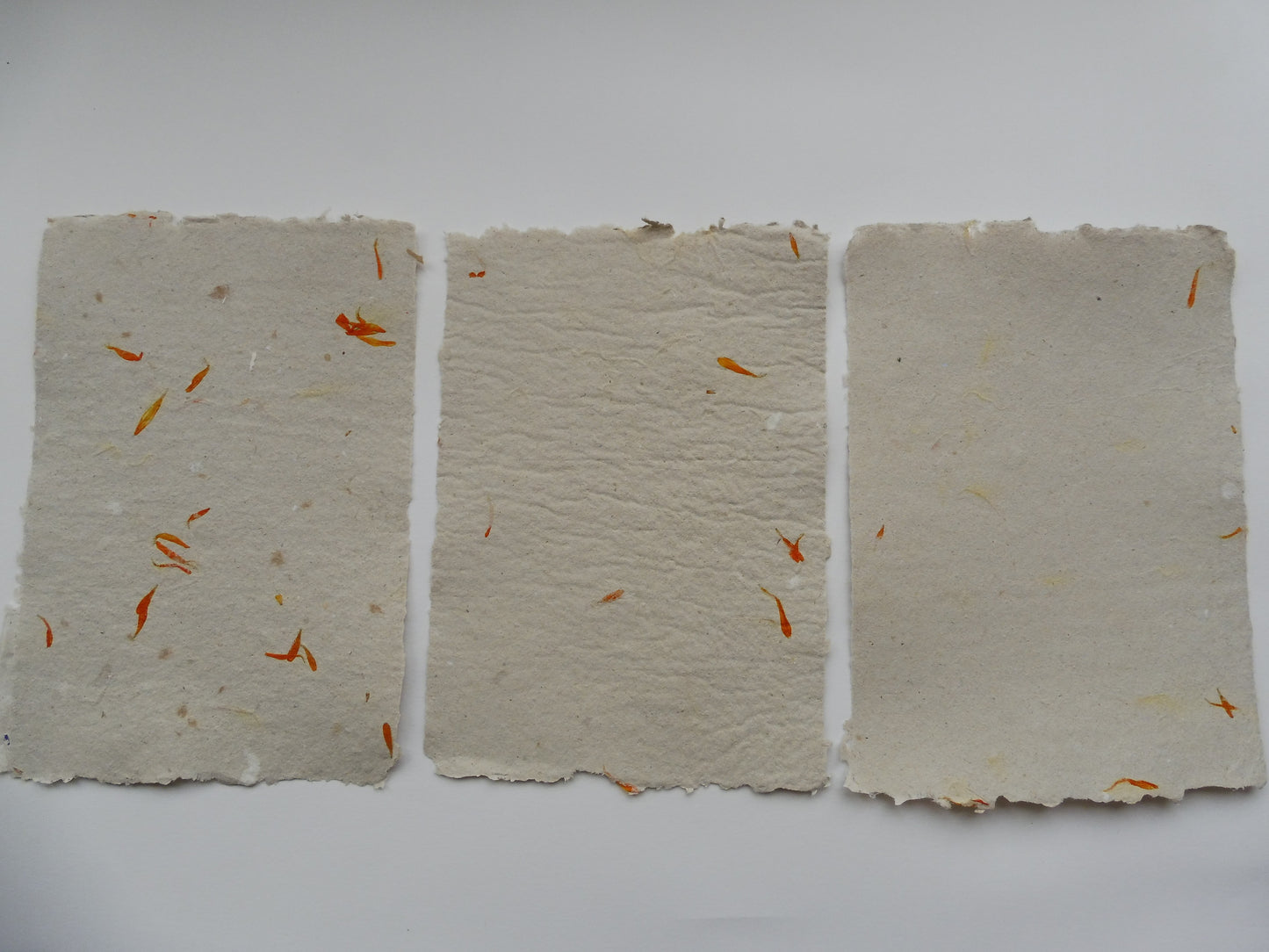 Papier Vergé Fait Main avec pétales de Souci A3 A4 A5 Artisanal Français