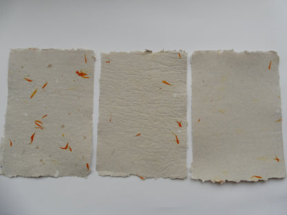 Papier Vergé Fait Main avec pétales de Souci A3 A4 A5 Artisanal Français