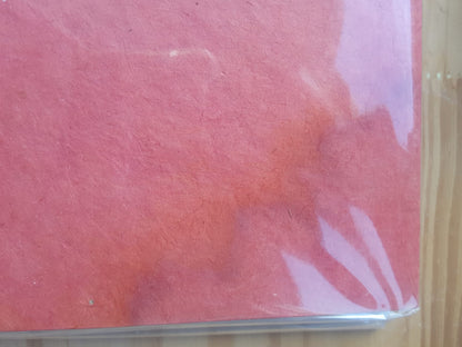 Livre d'Or / Album Photo / Carnet de voyages