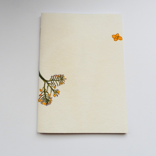 dos du carnet